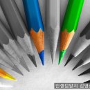 인셀덤알지 이미지