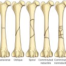 24시송도오케이동물의료센터 이미지
