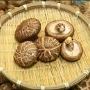 두드림지압안마원 이미지