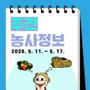 화성특용작물농장 | 기온 오르는 5월, 작물별 관리가 중요한 시기! 🌿[2026년 5월 11일~5월 17일 주간농사정보]