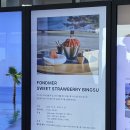 제주도 신상 호텔, 5성급 오션뷰와 역대급 인피니티풀을 소유한 파르나스 제주 후기🫶🏼