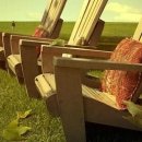 안행정사 이미지