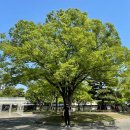 황금어린이공원 | [부산 나들이] 황금연휴, 아이들과 함께 가기 좋은 공원 추천 &#34;동래 충렬사&#34; 방문 후기