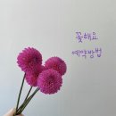 꽃해요