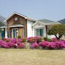 영희네민박 이미지