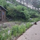 수포대 화장실 티스토리