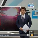 세월호 참사 1주기 아침 뉴스 아나운서들 이미지