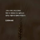 밀알 - 서대문구 통일로 171 | 밀알