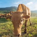 유진축산2 이미지