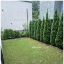 유성미래약국 이미지