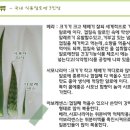한림알로에