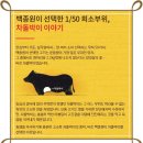 돌배기집강서