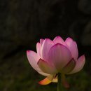 이제염오