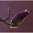 낙원파크 이미지