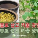 우리가족행복학교 이미지