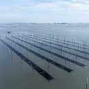 신안축구장 축구장 이미지