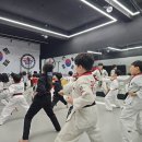 꿈꾸는석사태권도 이미지