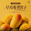 올 데이 시즌
