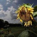 고개농장 이미지