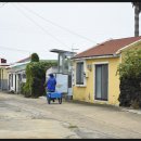 비양도할망보말칼국수 이미지