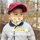 유행 | 독감예방접종 후기 독감 유행주의보 발령 꼭 접종하세요