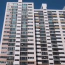 하단동118 이미지