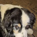 그집농장 이미지