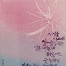 수채 캘리그라피 이미지