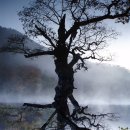 절골체육공원 이미지