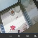 환해지개 이미지