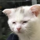 스마트의원 이미지