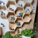 옥계 백봉이네 이미지