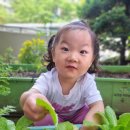 낙성대돈가스 오류점 이미지