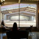 덕소 승마클럽 이미지