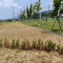 생활환경 공원 이미지