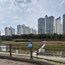 삼천대여소 이미지