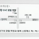 황가네닭발.막창 Daum카페