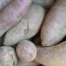 대차경로당 이미지