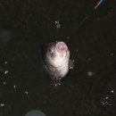 비야골낚시터 이미지