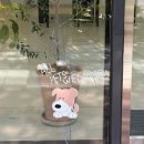 구움과자 디저트 | 김해 삼계 애견동반 카페 롱드 파티쓰리 주차 및 구움과자 디저트 후기