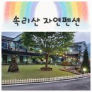 속리산자연펜션 | [속리산자연펜션 후기] 계곡이 흐르는 펜션. 아이들과 시부모님과 함께한 조용한 힐링 여행