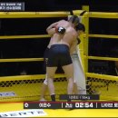 세계종합격투기 8각 링 특이하네요 이미지