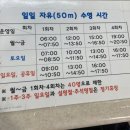 체육회관 1층 이벤트홀 | [분당] 서울 근교 자유수영 탄천 종합운동장 수영장 후기