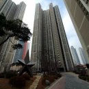 매원초교 이미지