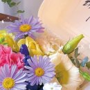 켈리플레르