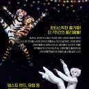 (공연) 캣츠 오리지널 내한공연3 이미지