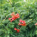 현대자동차 연지점 이미지