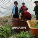 통일농산 - 양양군 남문5길 15-12 | 통일농산