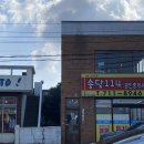 제주 동쪽 송당리 카페 같이살자 지구카페 &amp; 일과견 ; 혼자가기 좋은 카페 추천