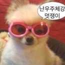 승리마루화랑체육관 | 🏷️ • 4 月 네 번째 주머니